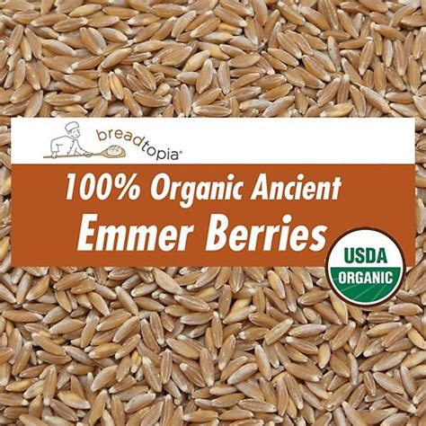 Organic Emmer Wheat Berries – Breadtopia