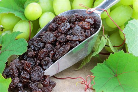 Are raisins good for you? Benefits and nutrition