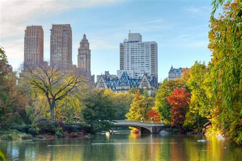 Central Park, New York: 10 things to do - Telegraph