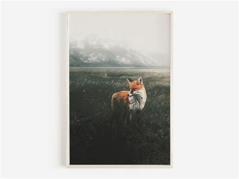 Fox in Forest Field Red Fox Photography Rustic Fox Print - Etsy