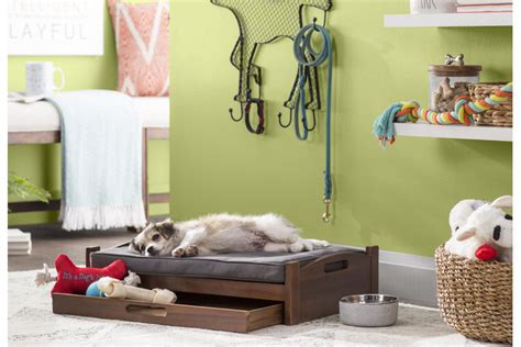 Dog Bed Sizes: Choosing the Right Bed Size for Your Dog | Wayfair