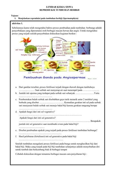Lks tumbuhan berbiji | PDF
