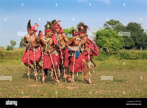 Folk Dance Of Chhattisgarh, Traditional Dance Of, 59% OFF