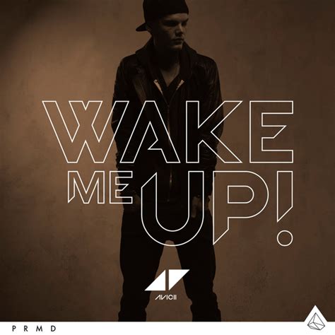 Image - Avicii Wake Me Up cover.png | My AT40 Wiki | FANDOM powered by ...