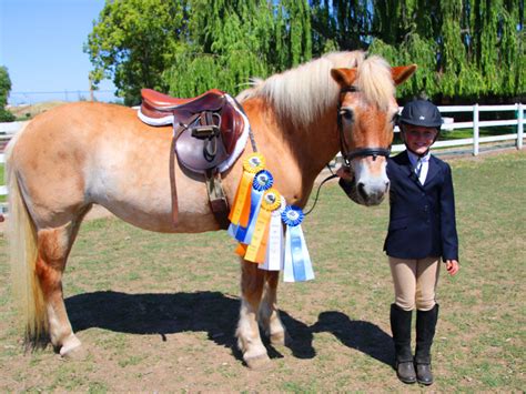 Lessons — Highland Riding Stable