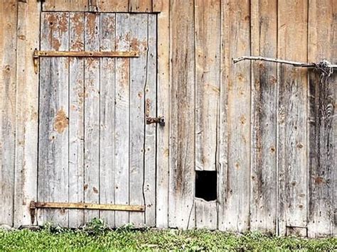 Rustic Barn Door Wooden Photography Backdrop GA-3 – Dbackdrop