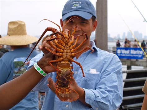 California Spiny Lobster - Pier Fishing in California