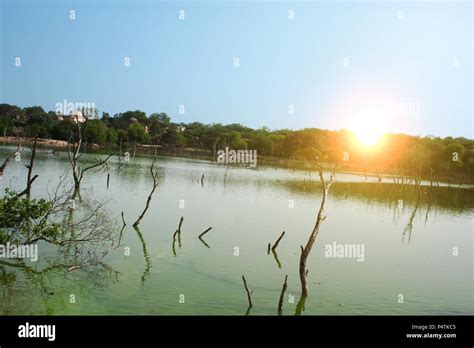 Deer Park lake in Delhi Stock Photo - Alamy