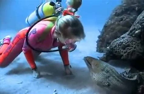 Persistent Diver Befriends an Extremely Dangerous Moray Eel | Elite Readers
