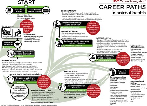 Career paths – RVT Career Navigator