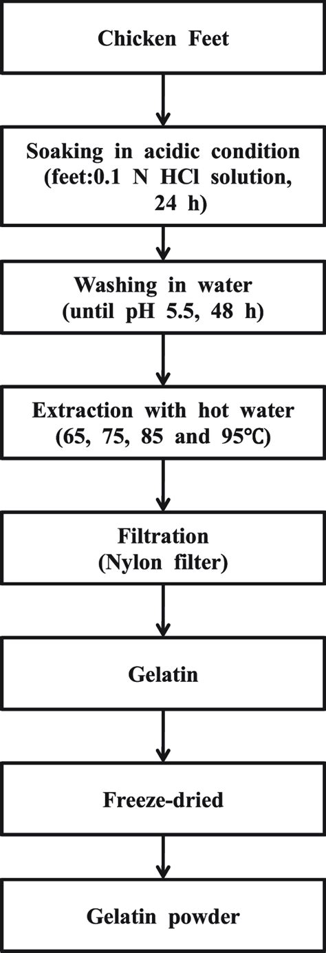 Procedures for preparation of the gelatin from the chicken feet ...