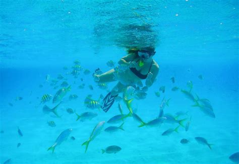 Snorkeling in St. Thomas: The Best Ranked Beaches | Saints and Sails | Snorkeling, St thomas ...