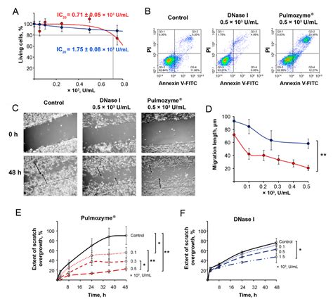 Human Recombinant DNase I (Pulmozyme®) Inhibits Lung Metastases in ...