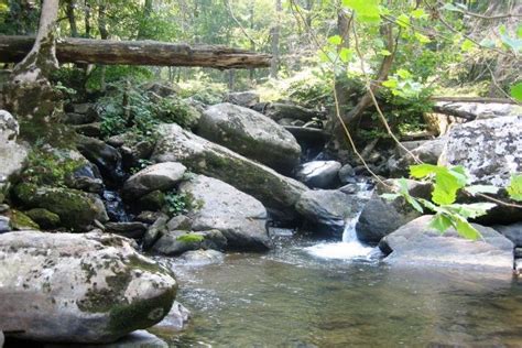 Sterkspruit Nature Reserve, Escarpment, South Africa