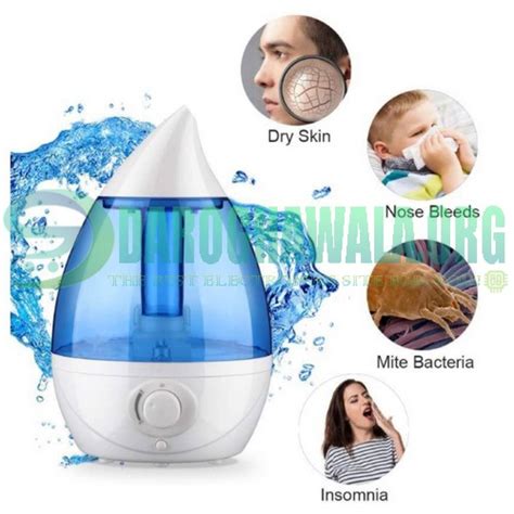 Ultrasonic Cool Mist Humidifier 1.6L Gallon Air Humidifiers For Bird ...