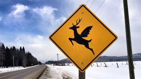 Funny road signs from around the world | escape.com.au