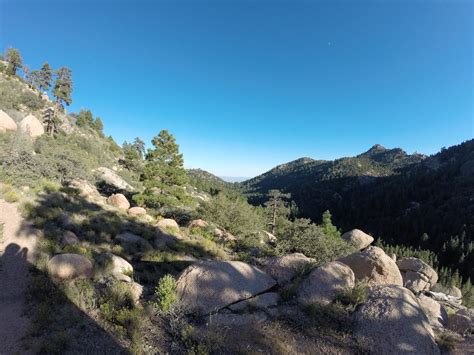 Ravine Ravings: Hiking the Hualapai Mountains