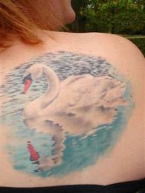 White And Black Swan Tattoos And History-Swan Tattoo Meanings-Swan Tattoo Designs And Ideas ...