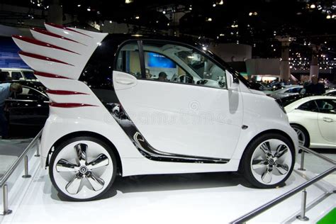 Custom Smart Car