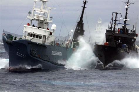 Sea Shepherd permanently abandons Antarctic whale wars with Japanese boats - ABC News