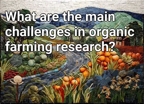 What are the main challenges in organic farming research? – Agriculture ...