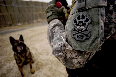 US Army Military Working Dog Handler | DefenceTalk Forum