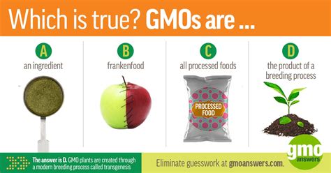 🐈 Difference between organic and gmo. GMO vs. Organic. 2022-11-01