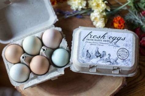 Custom Egg Carton Labels - Vintage Chicken Drawing Half Dozen