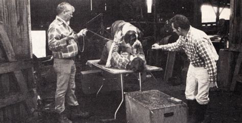 80s Movie Posters - Filmplakate der 80er: Behind the scenes: Cujo (1983)