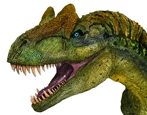 Allosaurus Fact Sheet - C.S.W.D