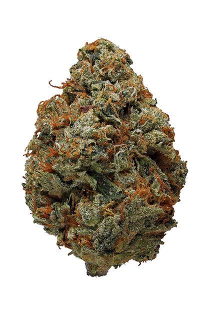 OG Kush - Hybrid Cannabis Strain Review, THC, Terpenes : Hytiva