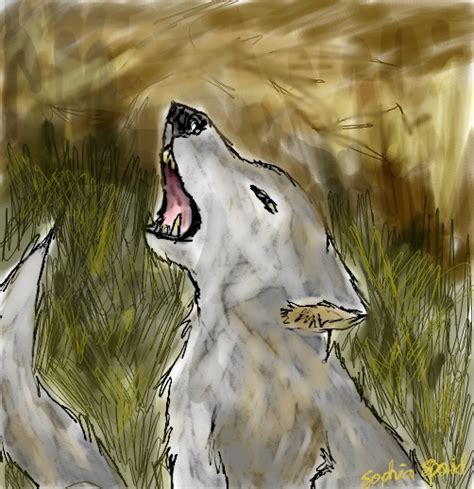 OLD: wolf drawing by Sugar-chann on DeviantArt