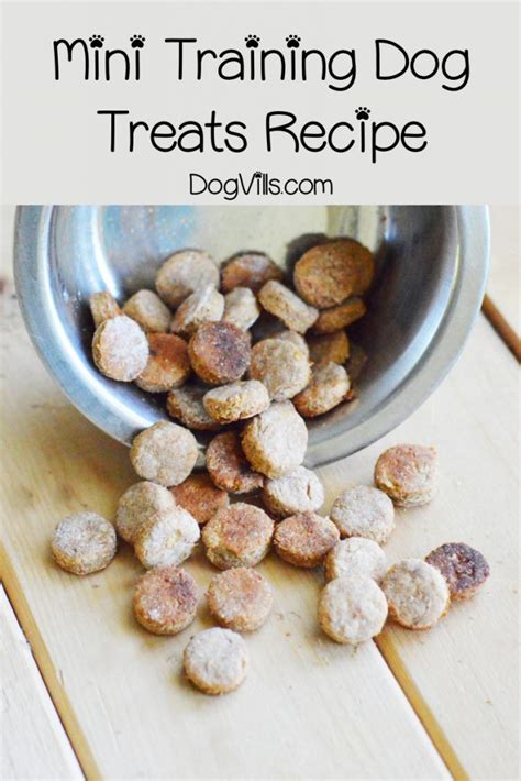 Easy Mini Training Dog Treats Recipe - DogVills