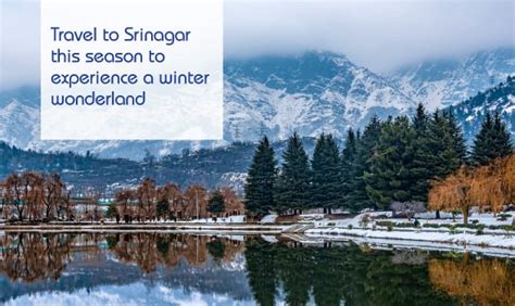 Winters in Srinagar - Reasons to Visit Srinagar this Winter Season