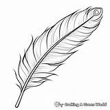 Feather Coloring Pages  Free & Printable sketch template