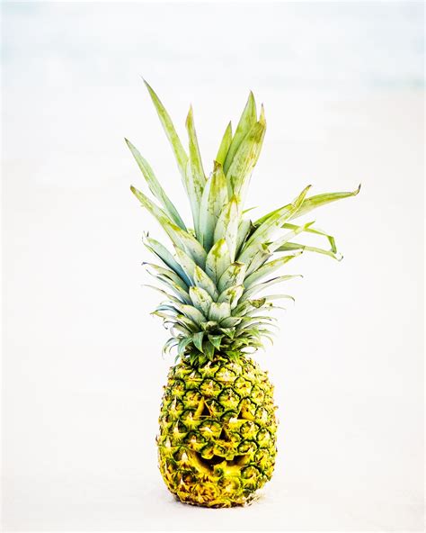 Save a pumpkin, carve a pineapple. 🍍🎃 Gulf Coast Florida, Gulf Of Mexico, Florida Beaches ...