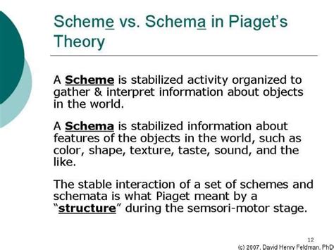 Schema Vs Schemata 15 Schema Examples (in Learning Psycholog