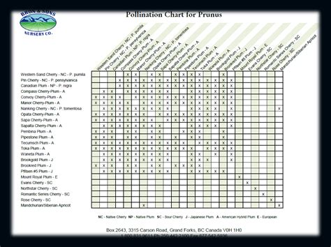 Prunus, Malus, Pyrus, Ribes, Vitis, Vaccinium, Pollination Chart