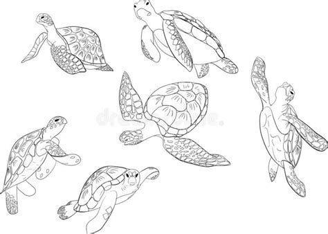 Vector Set Of Sea Turtle Isolated Background Stock Vector - Illustration of animal, seamless ...