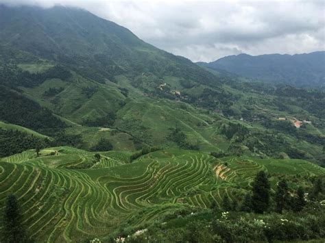 Premium Photo | Longsheng rice terraces