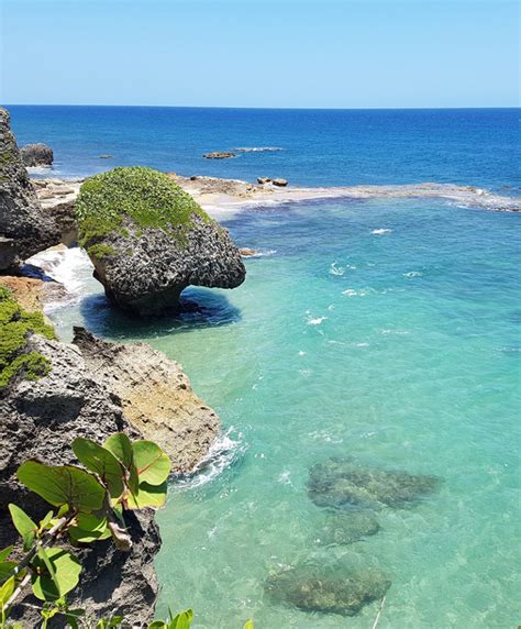 Playa Survival, Aguadilla, Puerto Rico | BoricuaOnline.com