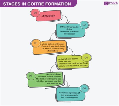 Multinodular Goitre: Meaning, Causes, Types, Symptoms, Treatment