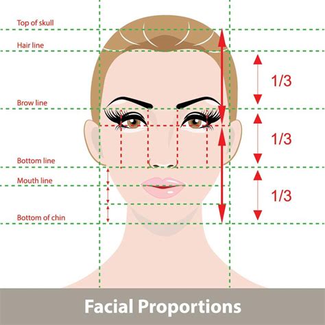 Golden Ratio Face Template Transparent Female : The face is not a morph, although it contains ...