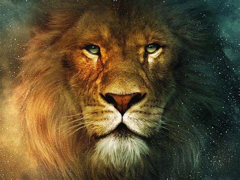 Lion Face Wallpapers - Top Free Lion Face Backgrounds - WallpaperAccess