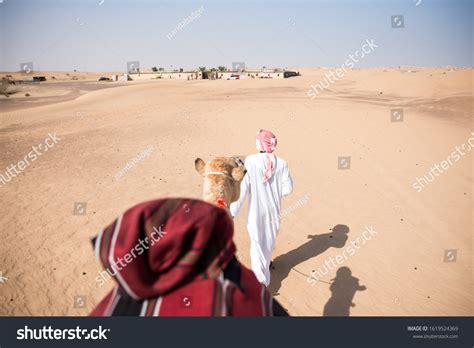 Dubai Camel Riding Tourism Arab Emirates Stock Photo 1619524369 | Shutterstock