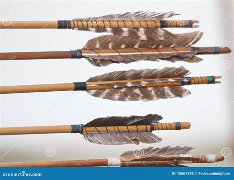 Feathers To Ensure Stability Of The Arrow Stock Photo - Image: 45561392