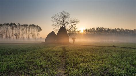 Thatched roof huts Rural Punjab India Bing 4K Preview | 10wallpaper.com