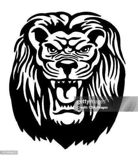 Lion Roar Black And White Photos and Premium High Res Pictures - Getty ...