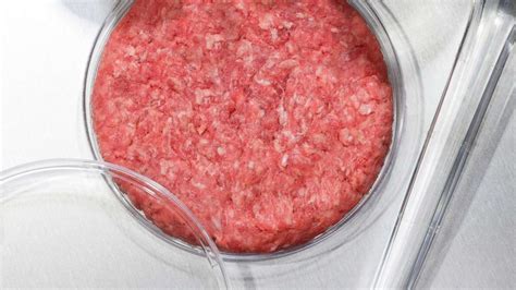 The 'beef' on lab-grown meat: FDA hosts public meeting to make case for oversight - ABC News