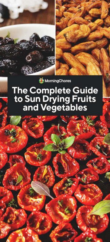 The Complete Guide to Sun Drying Fruits and Vegetables